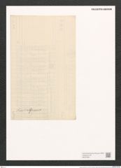 Surirella suecica Grun. (de-Toni-Nr.: Genus 53, Species 2403) Zeichnungen Sammlung Grunow (NHMW-BOT-W0372961)